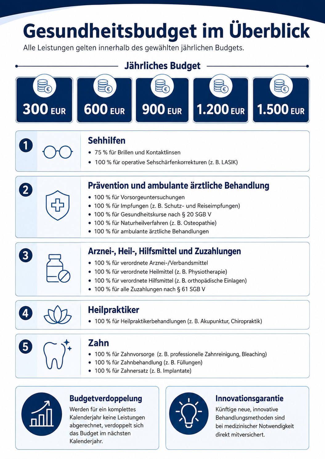 Gesundheitsbudget im Überblick: Jährliches Budget von 300 bis 1.500 EUR mit Leistungen zu Sehhilfen, Prävention, Arznei- & Hilfsmitteln, Heilpraktiker und Zahn sowie Budgetverdoppelung und Innovationsgarantie